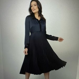 Seraphine Pleated Maternity Dress